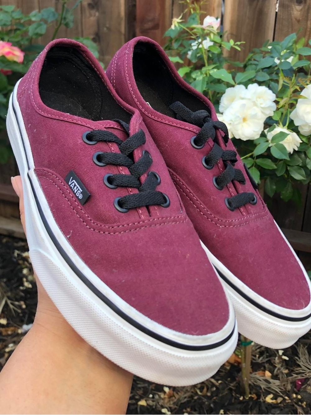 Vans Men Low-Top Canvas Sneakers in Maroon with Black Laces